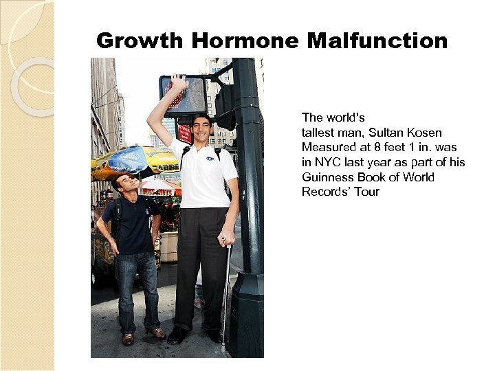 Growth Hormone Malfunction The world's tallest man, Sultan Kosen Measured at 8 feet 1