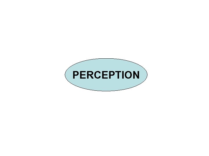 PERCEPTION 