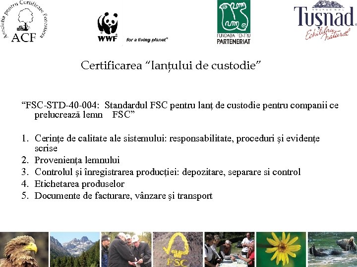 Certificarea “lanţului de custodie” “FSC-STD-40 -004: Standardul FSC pentru lanţ de custodie pentru companii