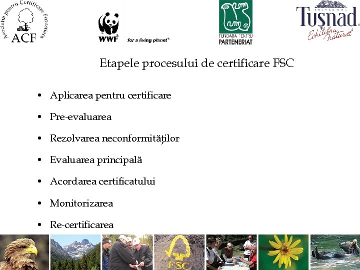 Etapele procesului de certificare FSC • Aplicarea pentru certificare • Pre-evaluarea • Rezolvarea neconformităţilor