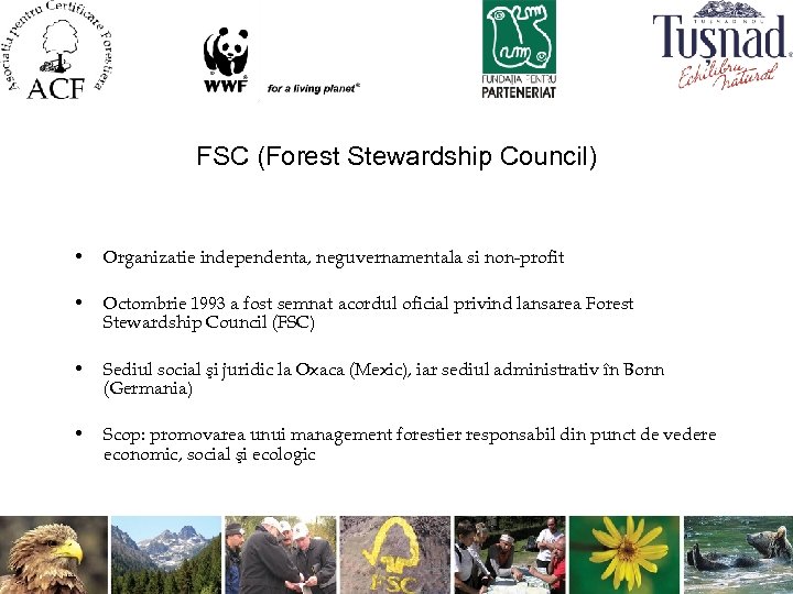FSC (Forest Stewardship Council) • Organizatie independenta, neguvernamentala si non-profit • Octombrie 1993 a