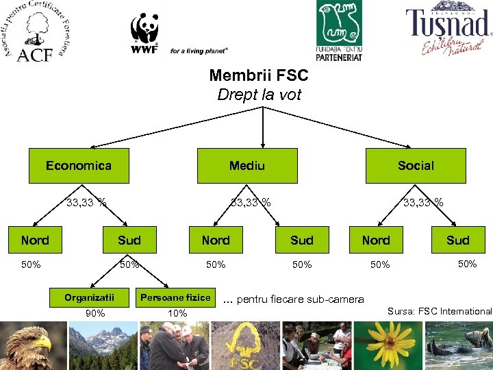 Membrii FSC Drept la vot Economica Mediu 33, 33 % Social 33, 33 %