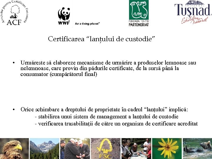 Certificarea “lanţului de custodie” • Urmăreste să elaboreze mecanisme de urmărire a produselor lemnoase