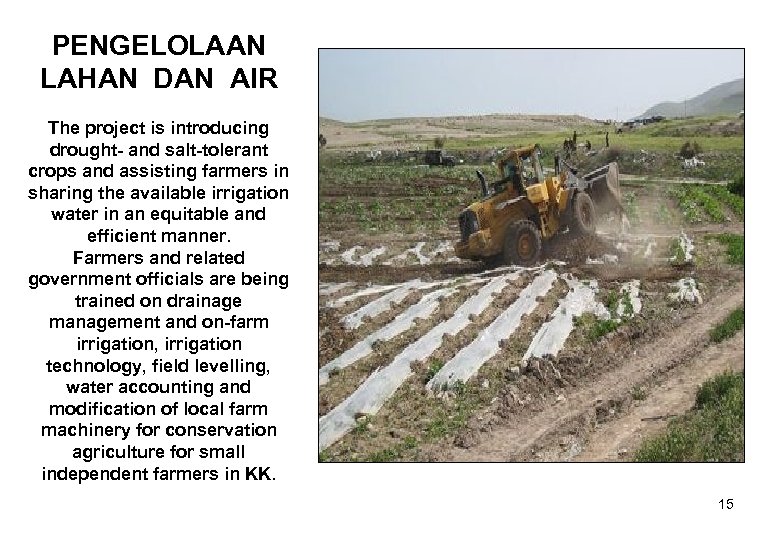 PENGELOLAAN LAHAN DAN AIR The project is introducing drought- and salt-tolerant crops and assisting