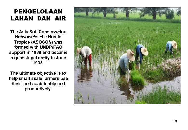 PENGELOLAAN LAHAN DAN AIR The Asia Soil Conservation Network for the Humid Tropics (ASOCON)