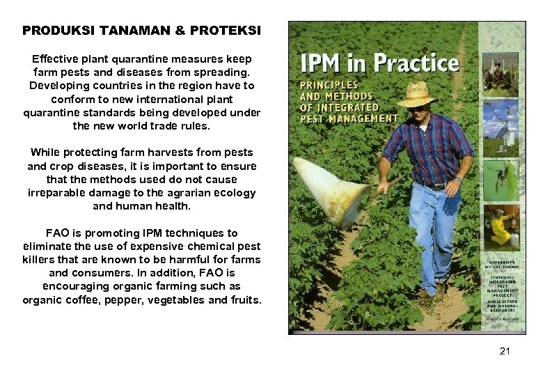 PRODUKSI TANAMAN & PROTEKSI Effective plant quarantine measures keep farm pests and diseases from
