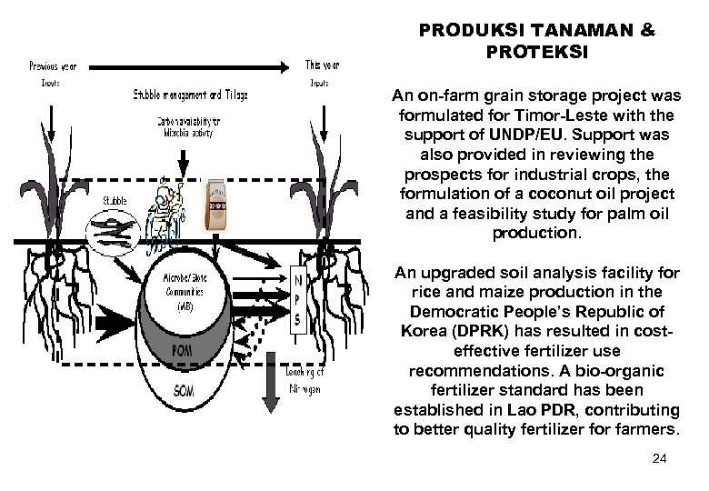 PRODUKSI TANAMAN & PROTEKSI An on-farm grain storage project was formulated for Timor-Leste with