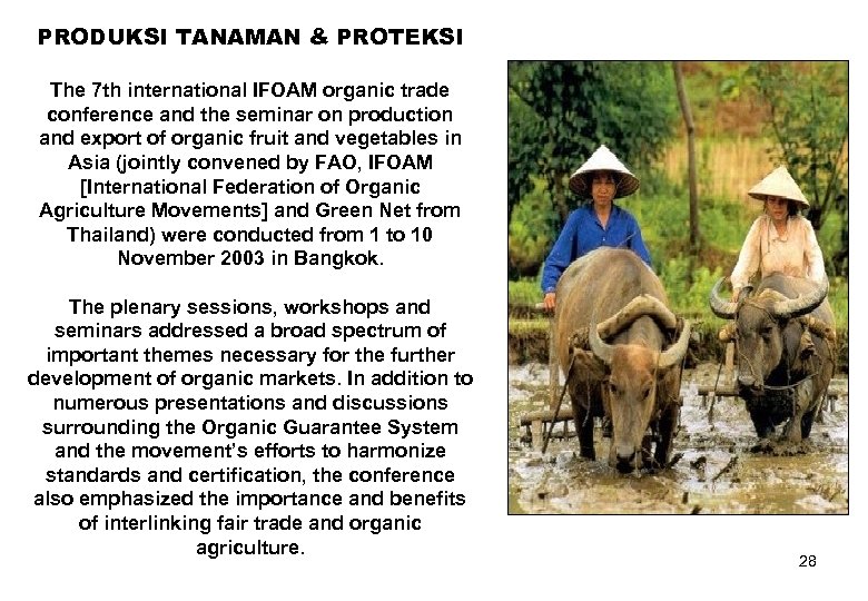 PRODUKSI TANAMAN & PROTEKSI The 7 th international IFOAM organic trade conference and the