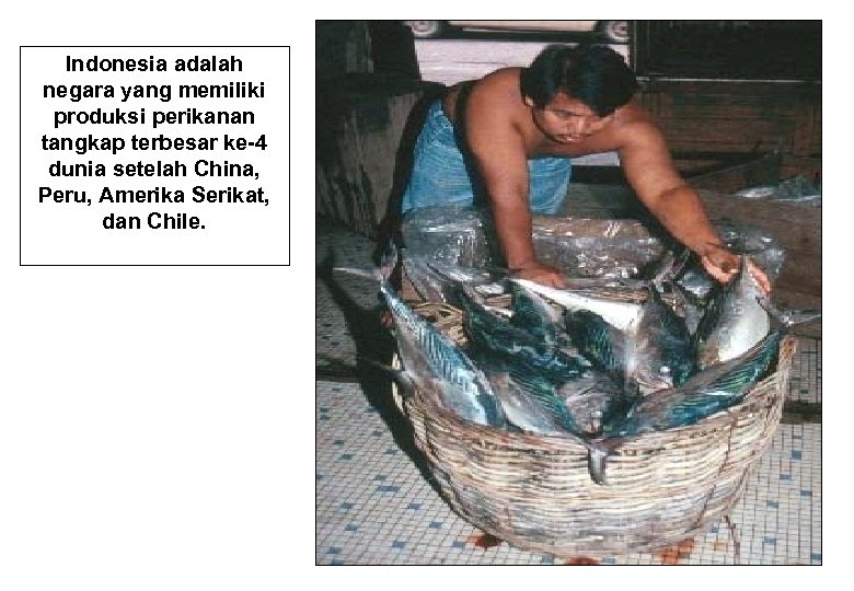 Indonesia adalah negara yang memiliki produksi perikanan tangkap terbesar ke-4 dunia setelah China, Peru,