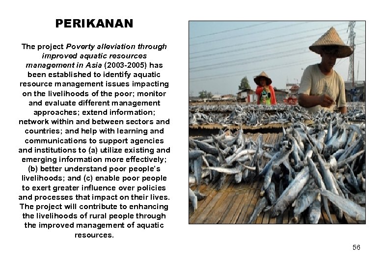 PERIKANAN The project Poverty alleviation through improved aquatic resources management in Asia (2003 -2005)