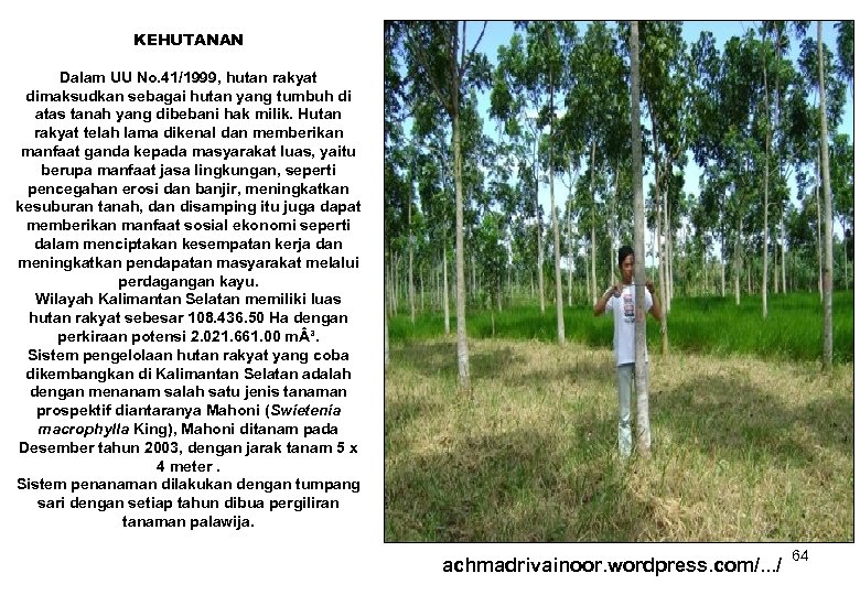 KEHUTANAN Dalam UU No. 41/1999, hutan rakyat dimaksudkan sebagai hutan yang tumbuh di atas