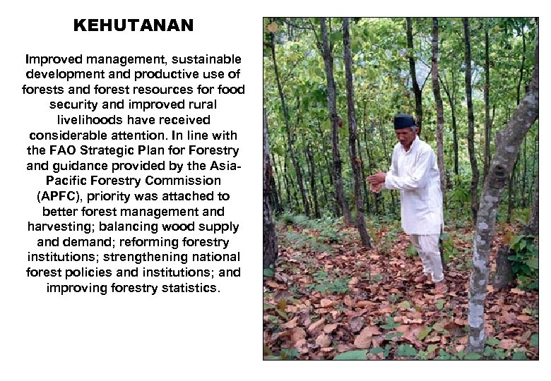 KEHUTANAN Improved management, sustainable development and productive use of forests and forest resources for