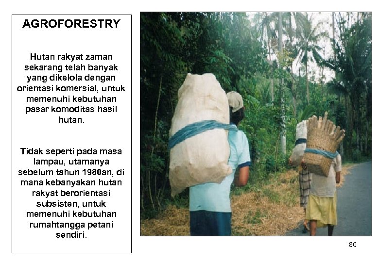 AGROFORESTRY Hutan rakyat zaman sekarang telah banyak yang dikelola dengan orientasi komersial, untuk memenuhi
