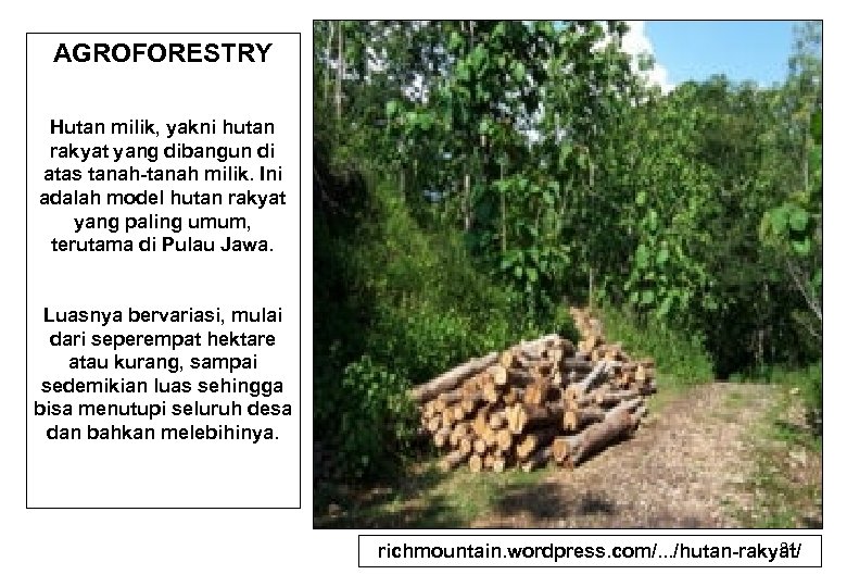 AGROFORESTRY Hutan milik, yakni hutan rakyat yang dibangun di atas tanah-tanah milik. Ini adalah