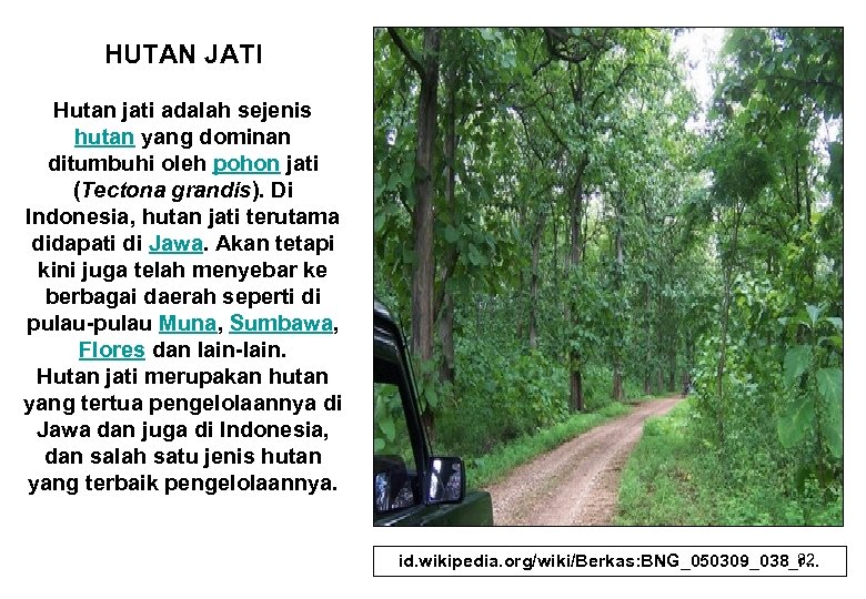 HUTAN JATI Hutan jati adalah sejenis hutan yang dominan ditumbuhi oleh pohon jati (Tectona