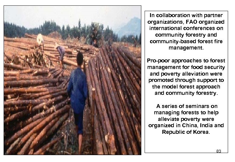 In collaboration with partner organizations, FAO organized international conferences on community forestry and community-based