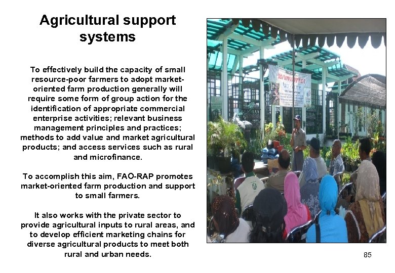 Agricultural support systems To effectively build the capacity of small resource-poor farmers to adopt