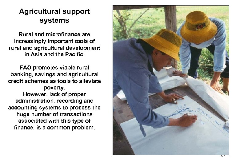 Agricultural support systems Rural and microfinance are increasingly important tools of rural and agricultural