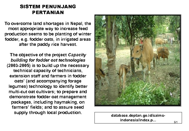 SISTEM PENUNJANG PERTANIAN To overcome land shortages in Nepal, the most appropriate way to