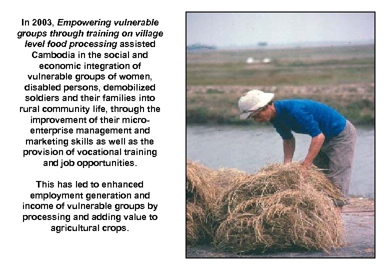 In 2003, Empowering vulnerable groups through training on village level food processing assisted Cambodia