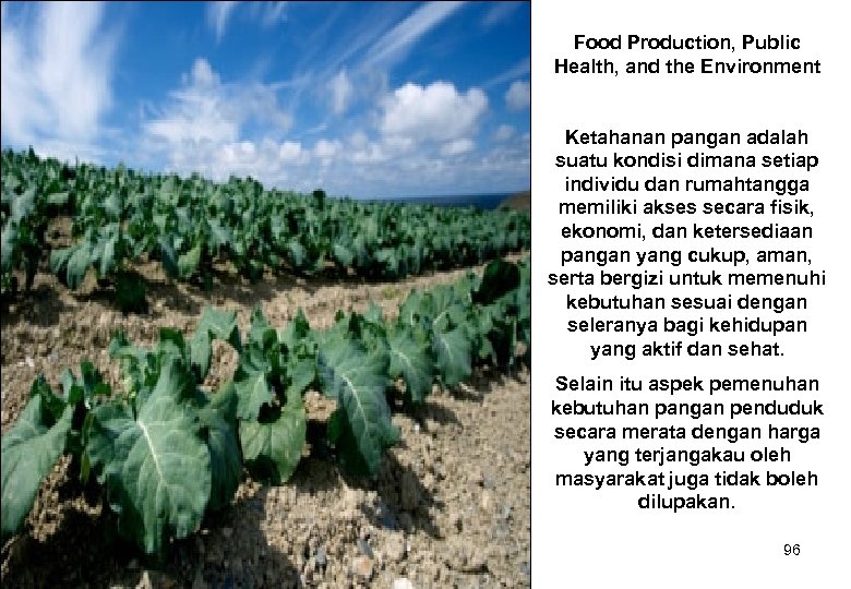 Food Production, Public Health, and the Environment Ketahanan pangan adalah suatu kondisi dimana setiap