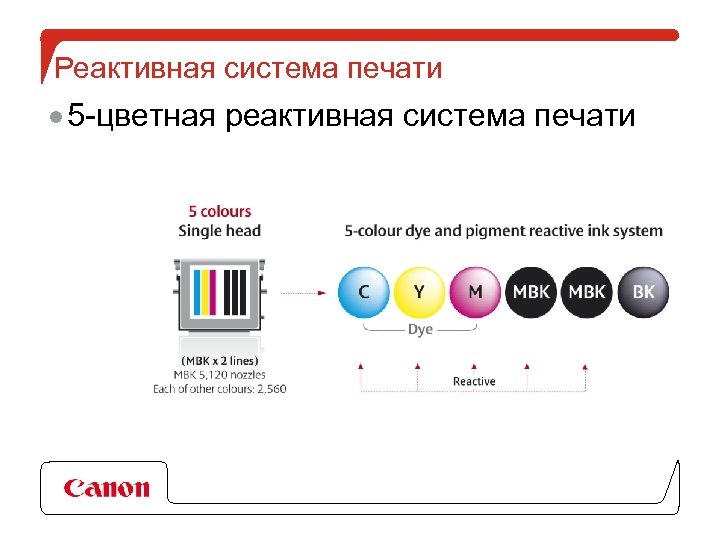 Система печати. Тип системы печати.