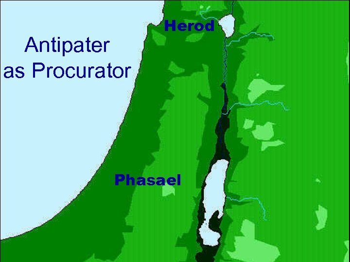 Antipater as Procurator Herod Phasael 