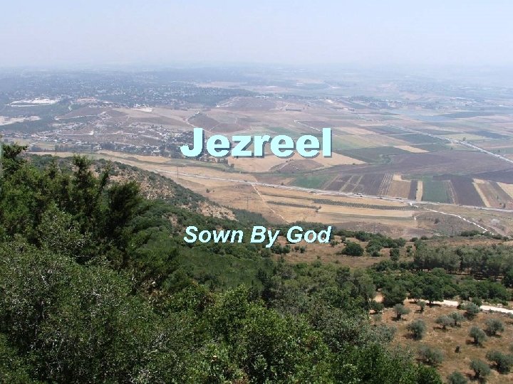 Jezreel Sown By God 