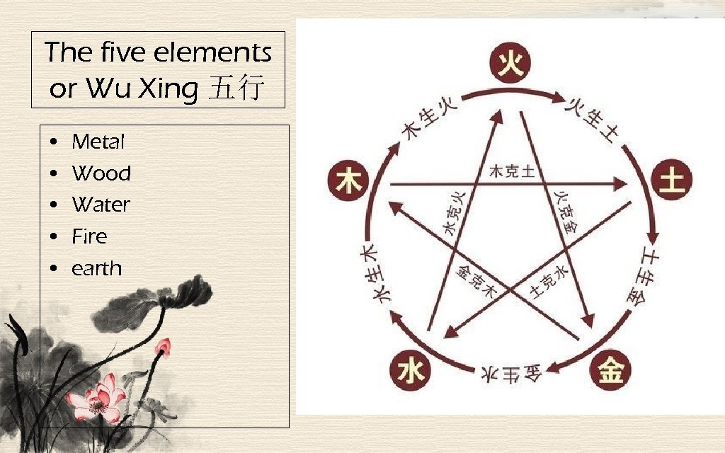 The five elements or Wu Xing 五行 • • • Metal Wood Water Fire