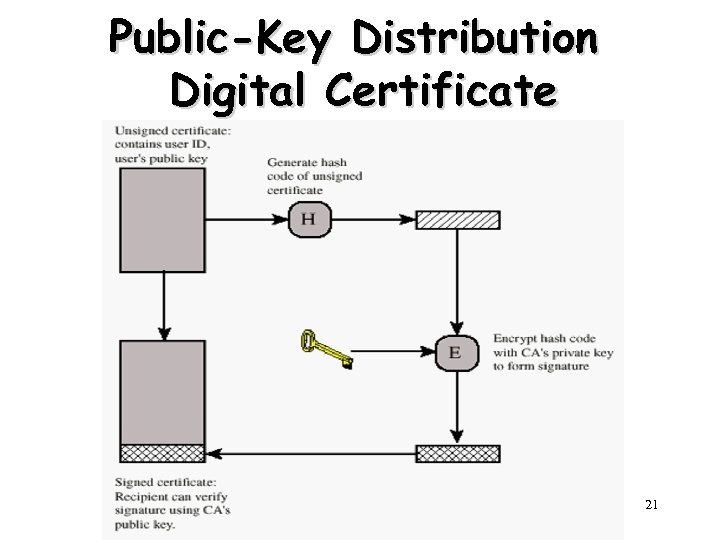 Public-Key Distribution Digital Certificate 21 