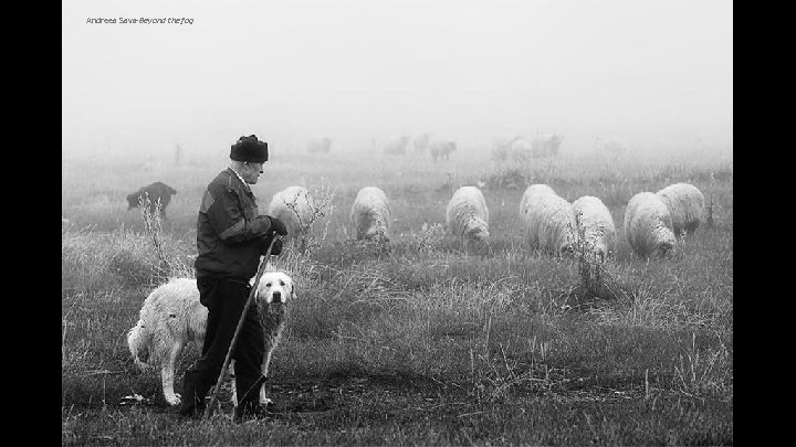 Andreea Sava-Beyond the fog 