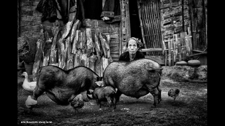 John Moulds-My shared home. . . 