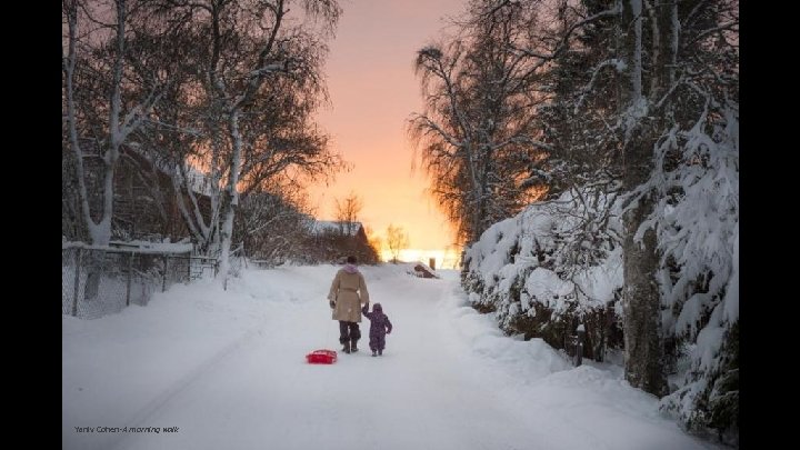 Yaniv Cohen-A morning walk 