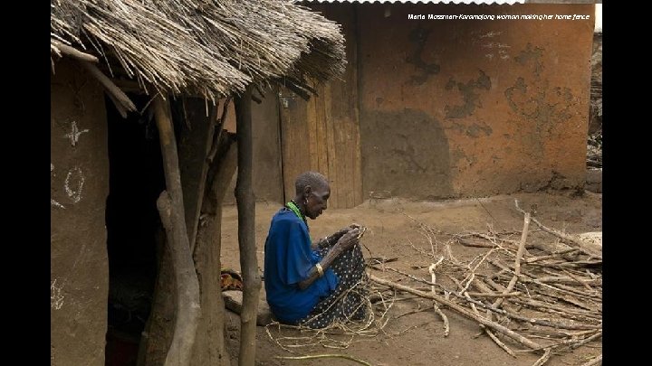 Marla Mossman-Karamojong woman making her home fence 