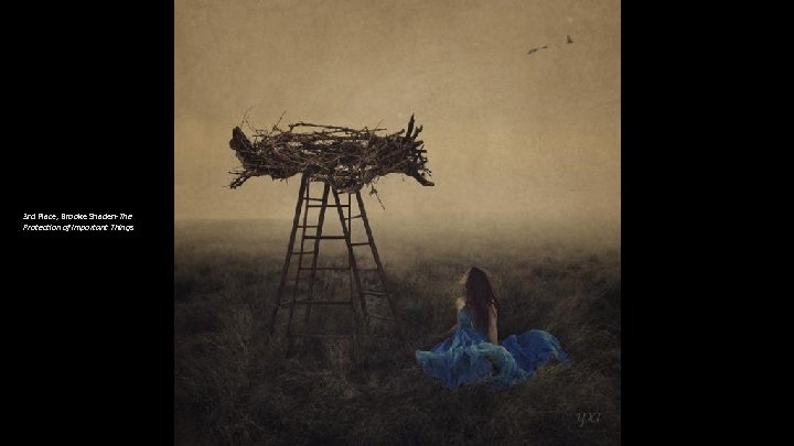 3 rd Place, Brooke Shaden-The Protection of Important Things 