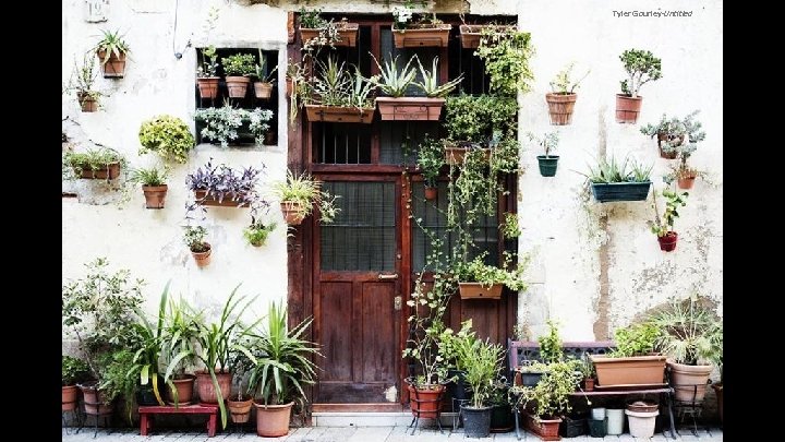 Tyler Gourley-Untitled 