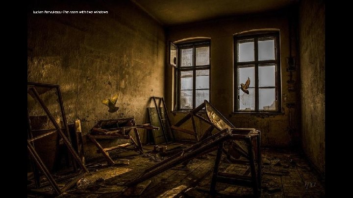 Lucian Parvulescu-The room with two windows 