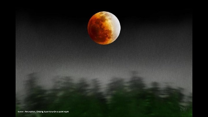 Home : Perception, Cheang Kuan Hoy-On a quiet night 