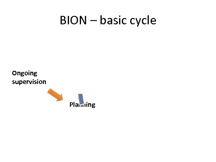 BION – basic cycle Presentation Ongoing supervision Off-site, on-site, inspection Planning Results, rating Process