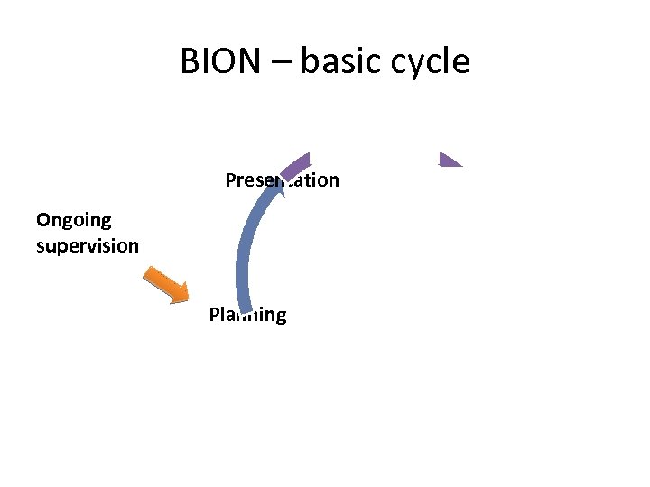 BION – basic cycle Presentation Ongoing supervision Off-site, on-site, inspection Planning Results, rating N/Y