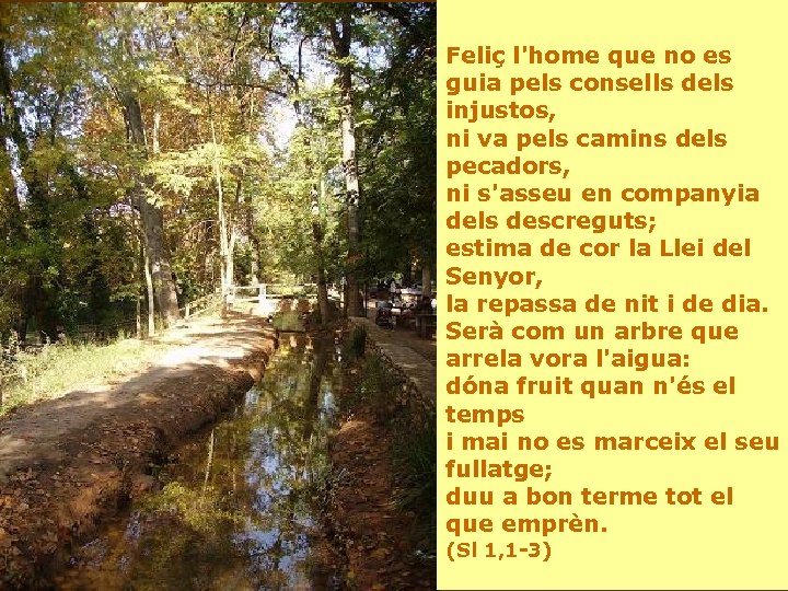 Feliç l'home que no es guia pels consells dels injustos, ni va pels camins