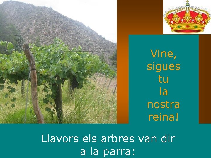 Vine, sigues tu la nostra reina! Llavors els arbres van dir a la parra: