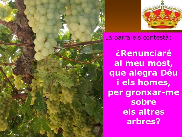 La parra els contestà: ¿Renunciaré al meu most, que alegra Déu i els homes,