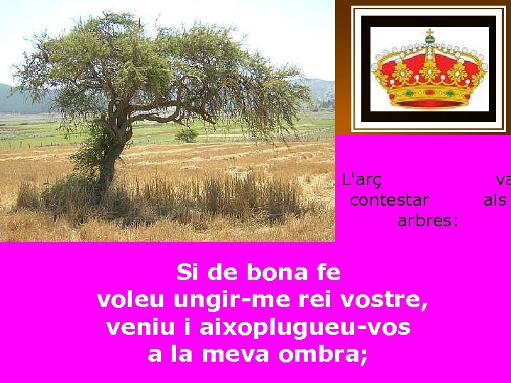 L'arç contestar arbres: Si de bona fe voleu ungir-me rei vostre, veniu i aixoplugueu-vos