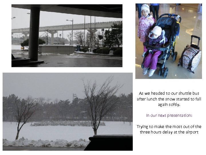 As we headed to our shuttle bus after lunch the snow started to fall