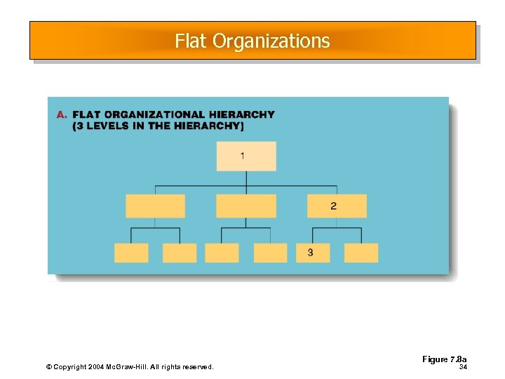 Flat Organizations © Copyright 2004 Mc. Graw-Hill. All rights reserved. Figure 7. 8 a