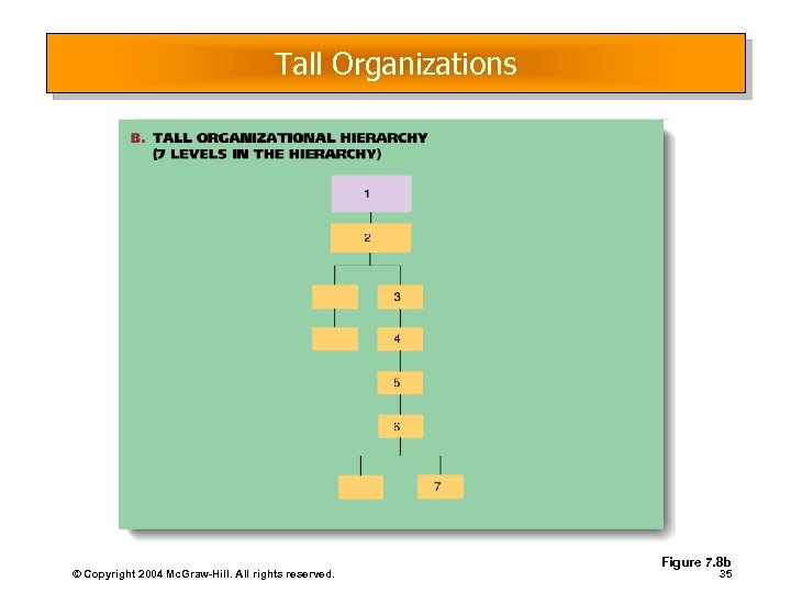 Tall Organizations © Copyright 2004 Mc. Graw-Hill. All rights reserved. Figure 7. 8 b