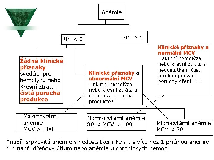 Anémie RPI < 2 Žádné klinické příznaky svědčící pro hemolýzu nebo Krevní ztrátu: čistá