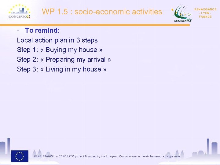 WP 1. 5 : socio-economic activities RENAISSANCE - LYON FRANCE - To remind: Local