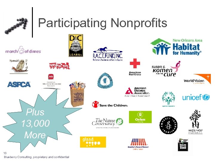 Participating Nonprofits Plus 13, 000 More 13 Blueberry Consulting, proprietary and confidential 